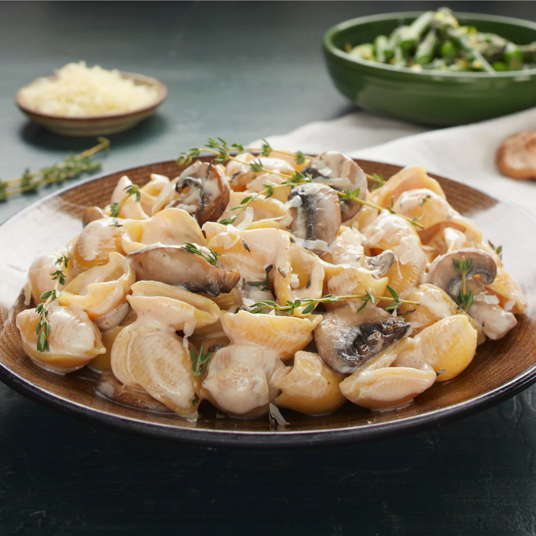 Shells (6 Pack) - Image 4